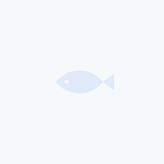 Spro Arrow Tail 8.0 cm - Chart Belly