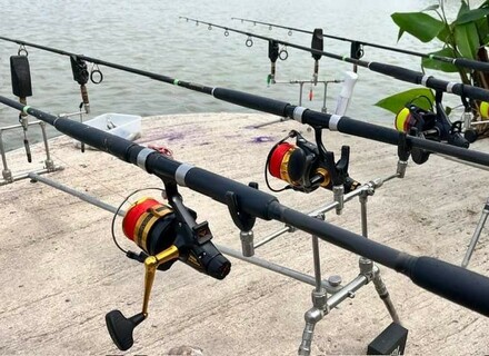 Carp combo