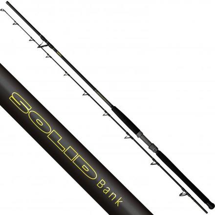 Black Cat Solid Bank Catfish Rod 2,90m (100-500gr)
