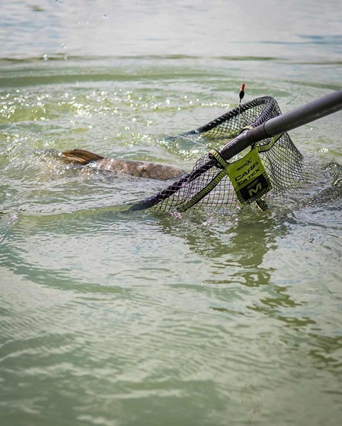 Matrix Carp Latex Landing Net