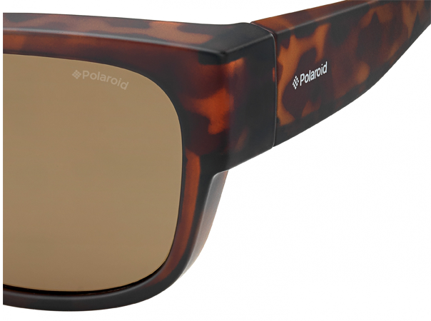 Polaroid PLD 9003/S Suncover Fitover Sunglasses - Havana frame / brown glasses