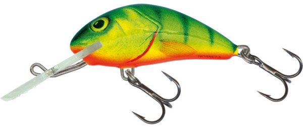 Salmo Hornet 3,5cm (22 options) - Hot Perch