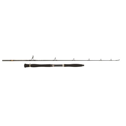 PENN Legion Cat Bronze Vertical Catfish Rod Set 1,92m (-300g)