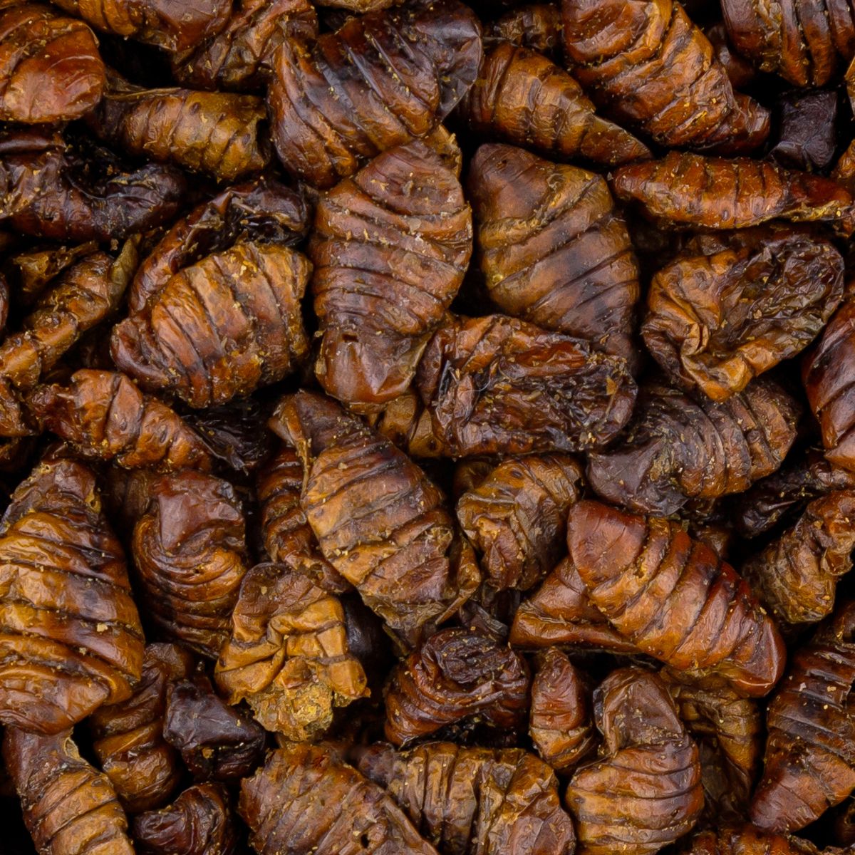 Vivani Dried Silkworms - 750 gram