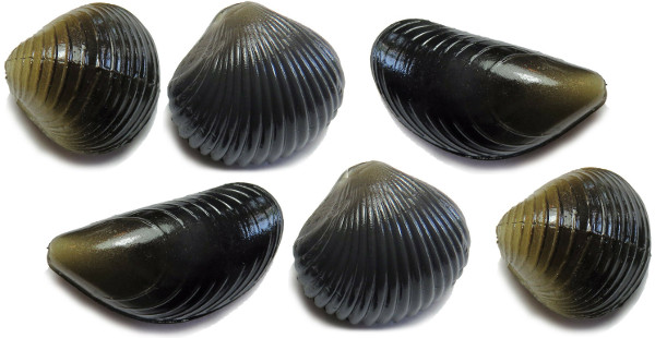 Behr Trendex Mini Carp Shells, 6 pcs!