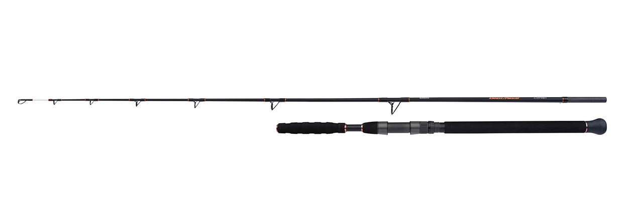 Shimano Beastmaster Catfish Rod Vertical 1.85m (200g)