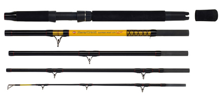 WFT Never Crack Big Cat Catfish Rod 2,60m (200-1000g) (5-section)