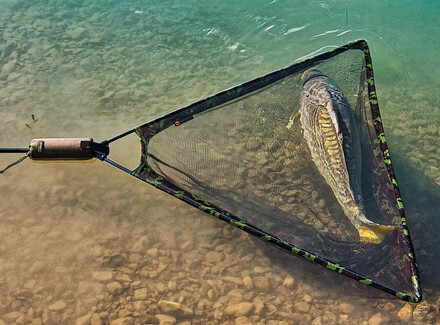 Carp landing nets