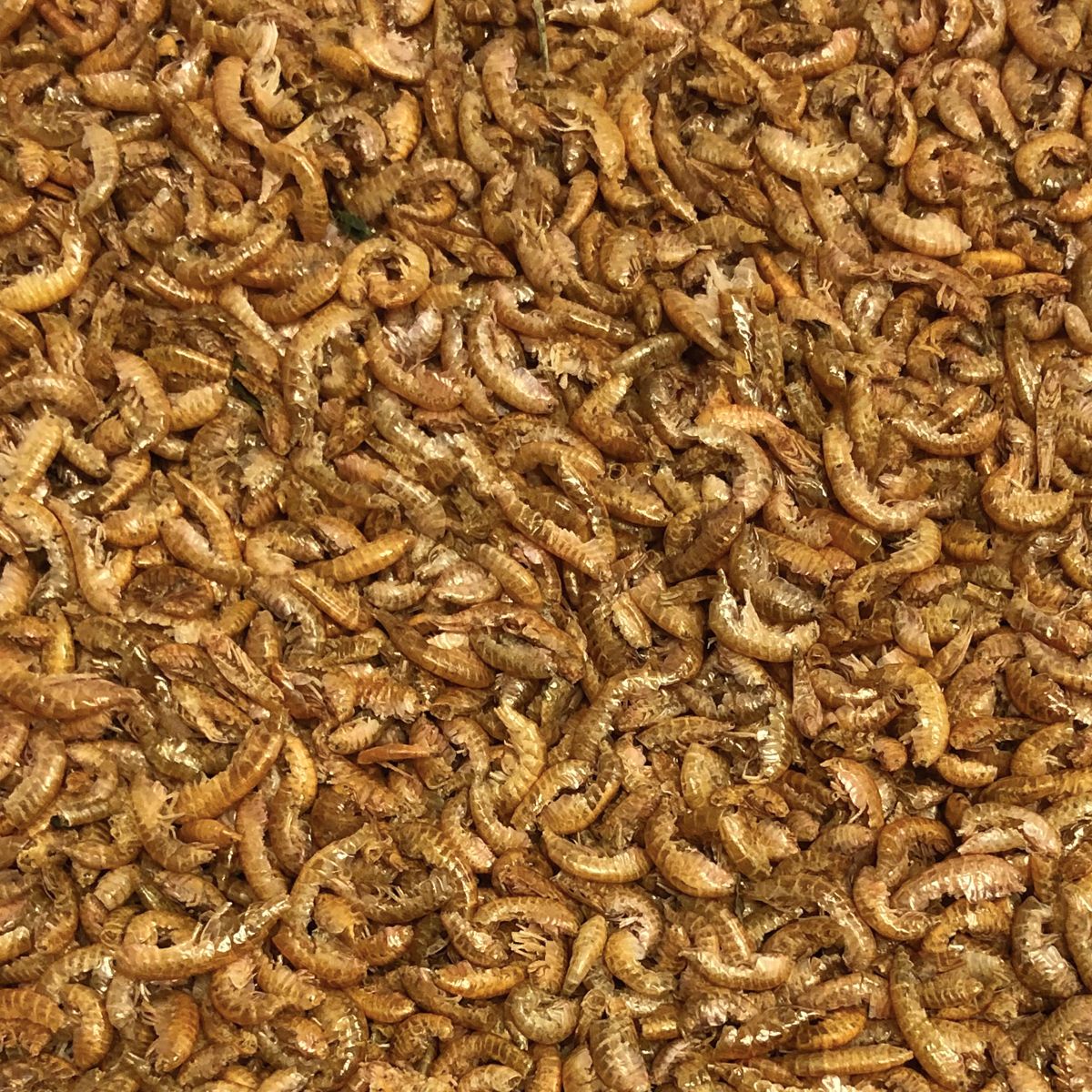 Vivani Dried Gammarus - 280 grams