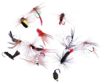 Ultimate Fly Selection 12pcs