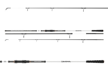 Daiwa Seahunter X Surf Beach Rod 100-250g (3-pieces)