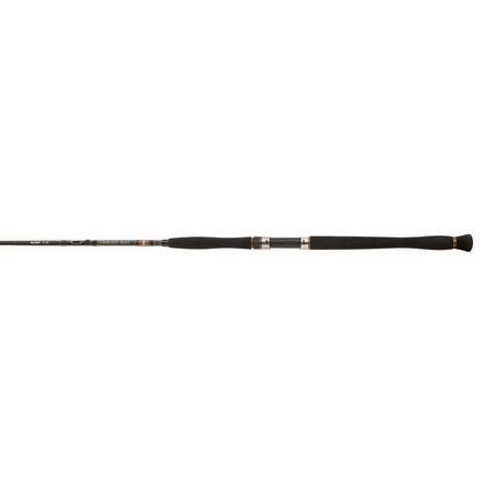 PENN Legion Cat Bronze Vertical Catfish Rod Set 1,92m (-300g)