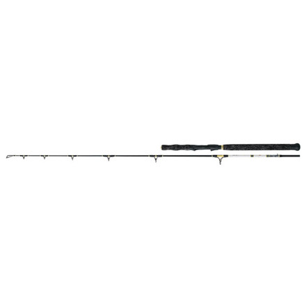 WFT Cat Buster Vertical Spin Catfish Rod 1,90m (50-220g)