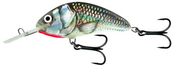 Salmo Hornet 3,5cm (22 options) - Holo Grey Shiner