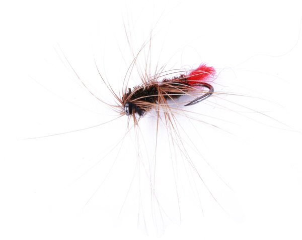 Ultimate Fly Selection 12pcs