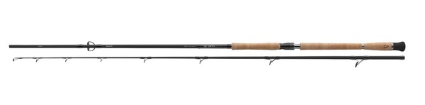 Daiwa DW Pro Staff CF  Catfish Rod 2.60m (80-240g)