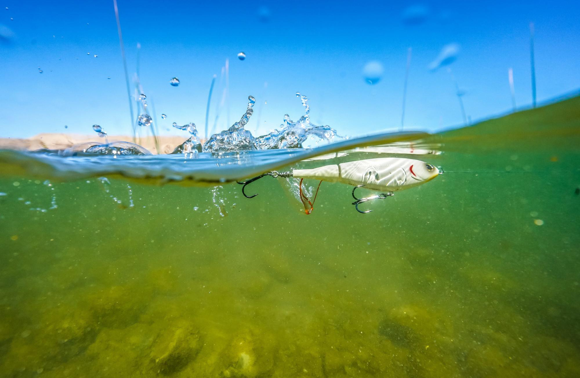 Berkley Choppo Surface Lure 12cm