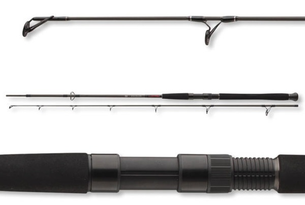 Daiwa Exceler Catfish Spin Rod